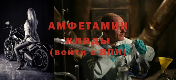 гидра Абаза