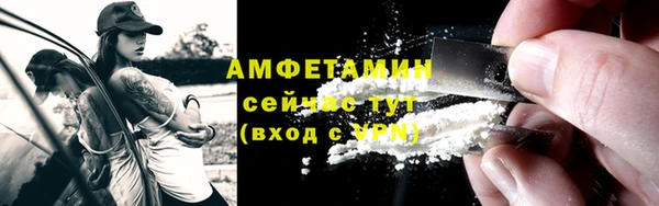 гидра Абаза