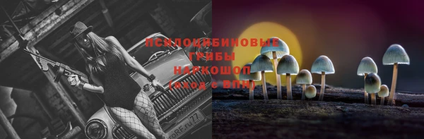 дурь Абинск
