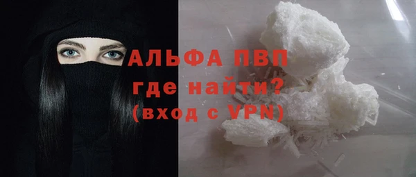 гидра Абаза