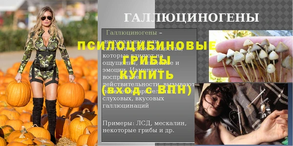 гидра Абаза