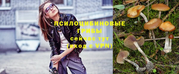 дурь Абинск