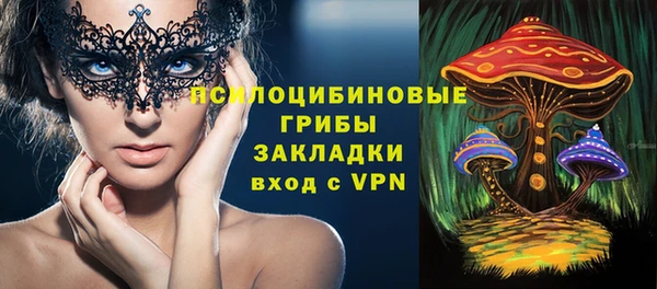 гидра Абаза