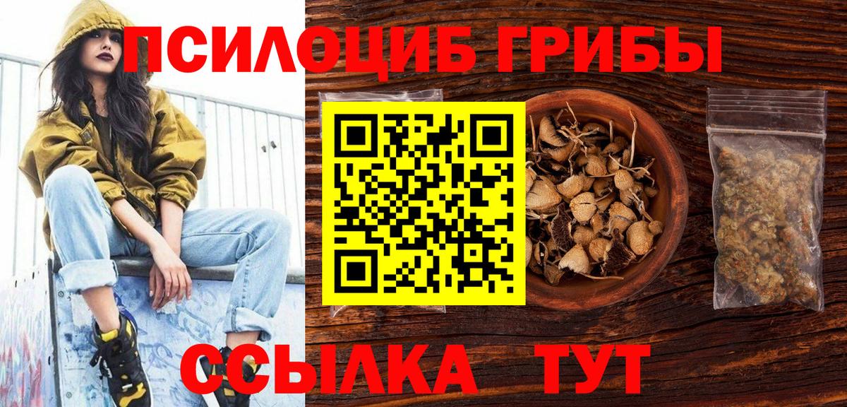 Галлюциногенные грибы мицелий Псков