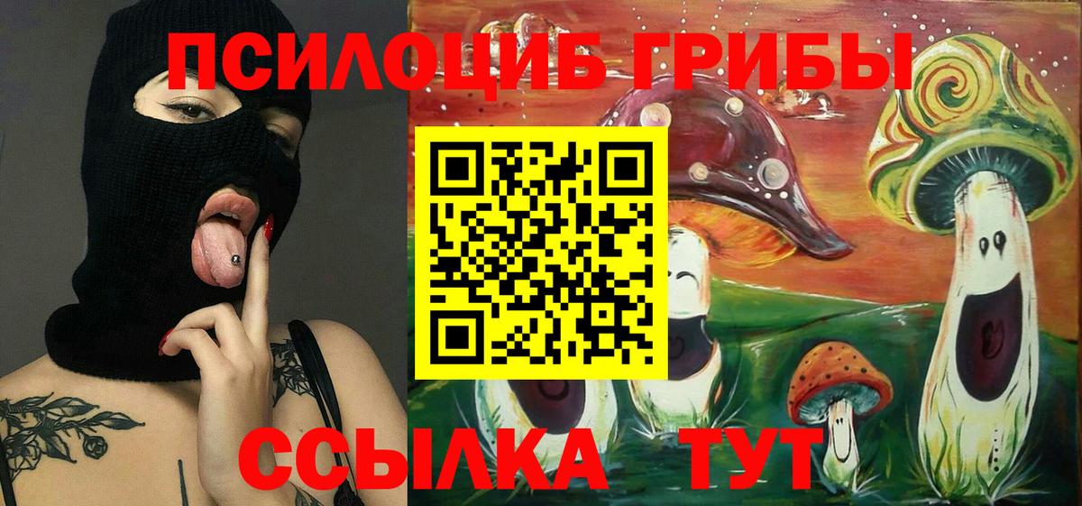 Псилоцибиновые грибы MAGIC MUSHROOMS  Вход с VPN  Псков 
